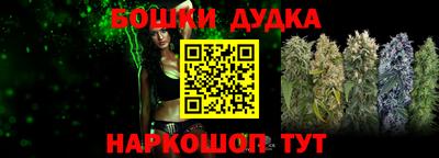 гидропоника Новозыбков