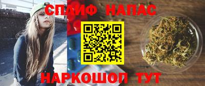гидропоника Новозыбков