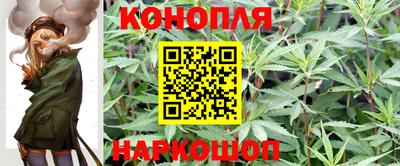 гидропоника Новозыбков