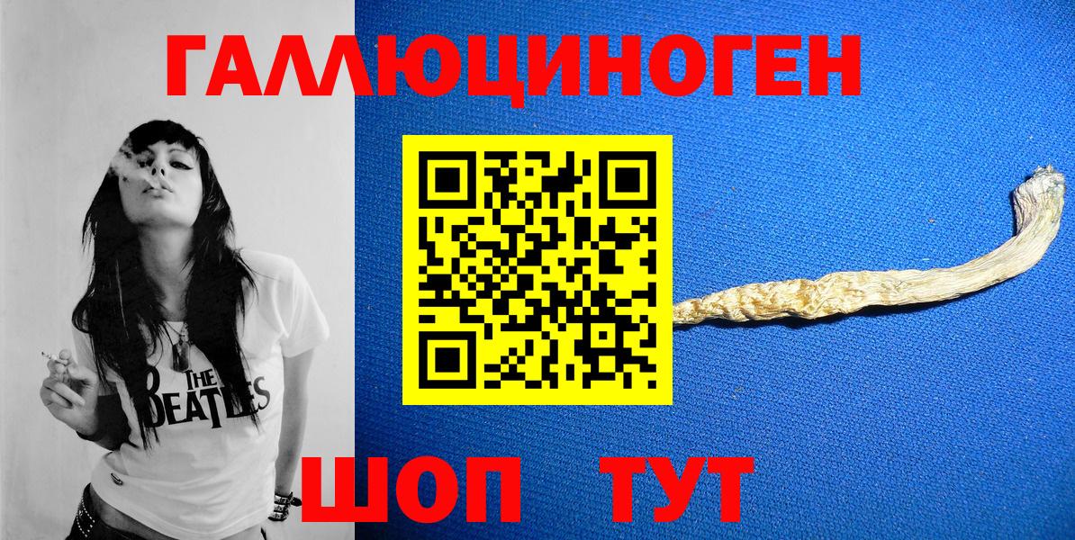 Псилоцибиновые грибы мухоморы Сосновый Бор