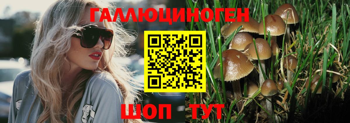 Сосновый Бор  Галлюциногенные грибы Magic Shrooms  Вход с VPN 